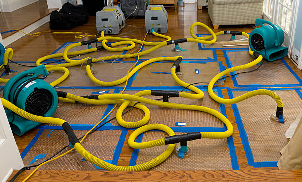 Professional Crawl Space Water Removal technician working in Sullivan, NH